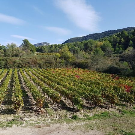 Appartamento Les Tuileries De Lencieux Gigondas Esterno foto